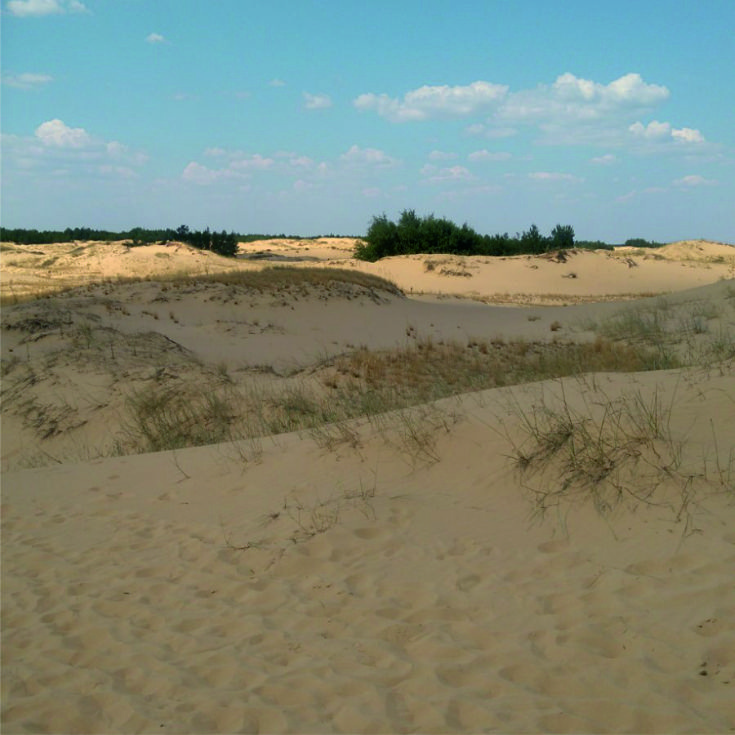 Олешковские пески - одна из крупнейших пустынь в Европе / Блог минималиста MinimalizmLife.home.blog